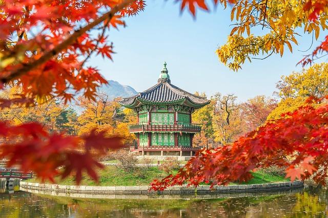 Seoul Uncovered: The Essential Travel Guide to South Korea's Vibrant Capital and Hidden Gems